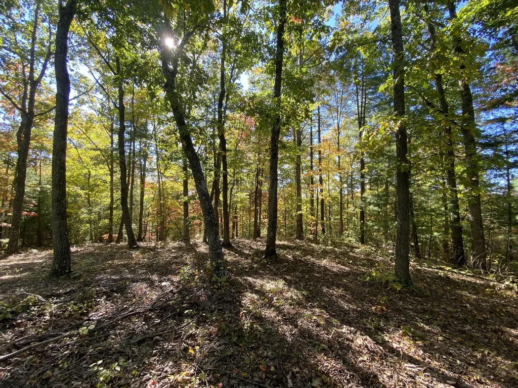 431 Harold Luke Road Campton KY 41301