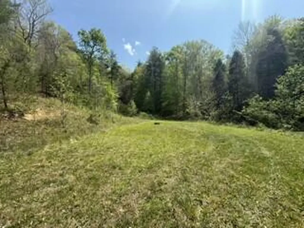 431 Harold Luke Road Campton KY 41301