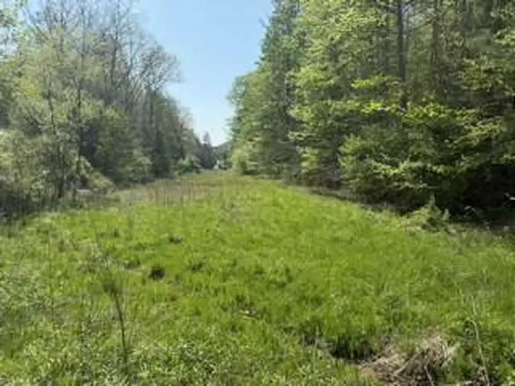 431 Harold Luke Road Campton KY 41301