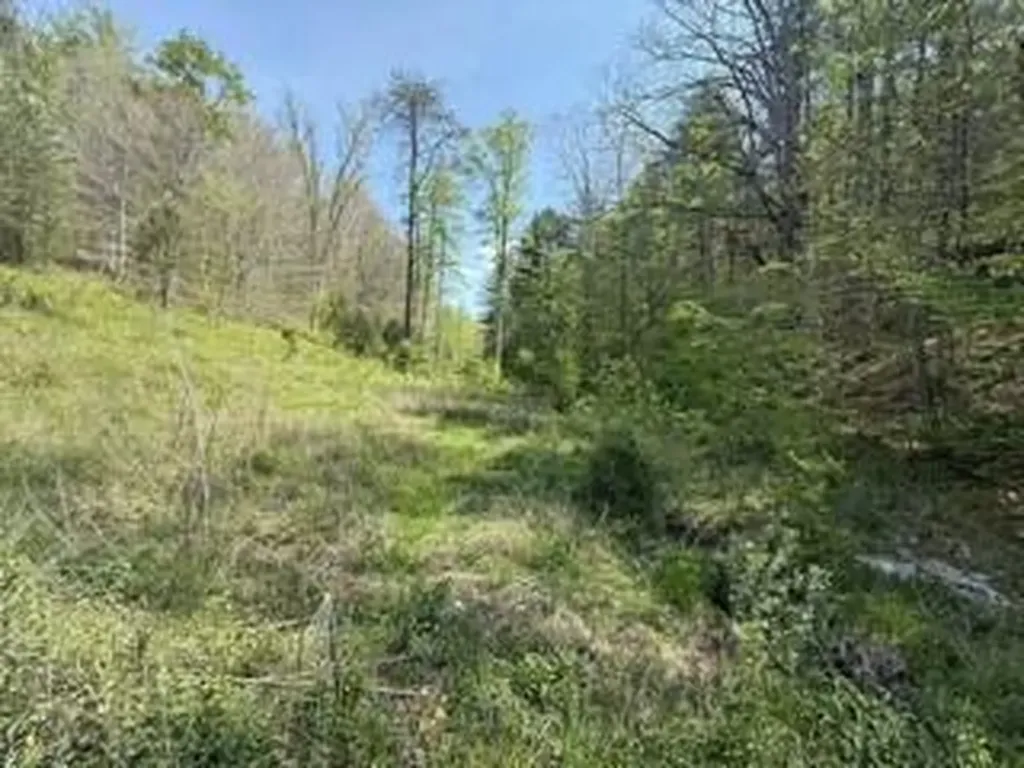 431 Harold Luke Road Campton KY 41301