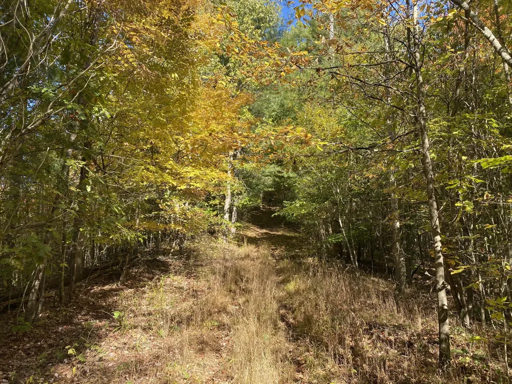431 Harold Luke Road Campton KY 41301