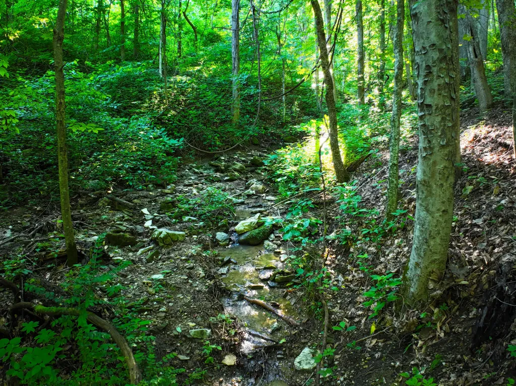 692 Little Doe Creek Road Irvine KY 40336