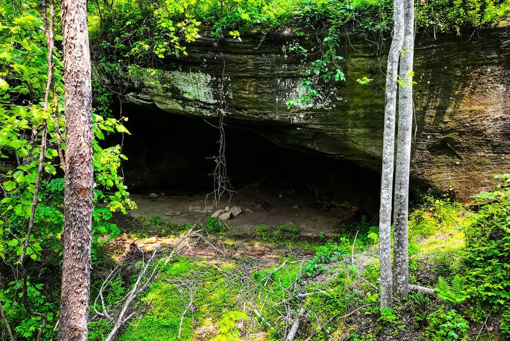 29 Left Fork Bear Track Road Beattyville KY 41311
