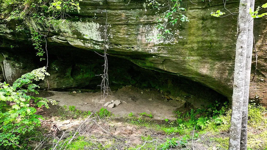 29 Left Fork Bear Track Road Beattyville KY 41311