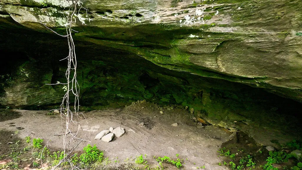 29 Left Fork Bear Track Road Beattyville KY 41311