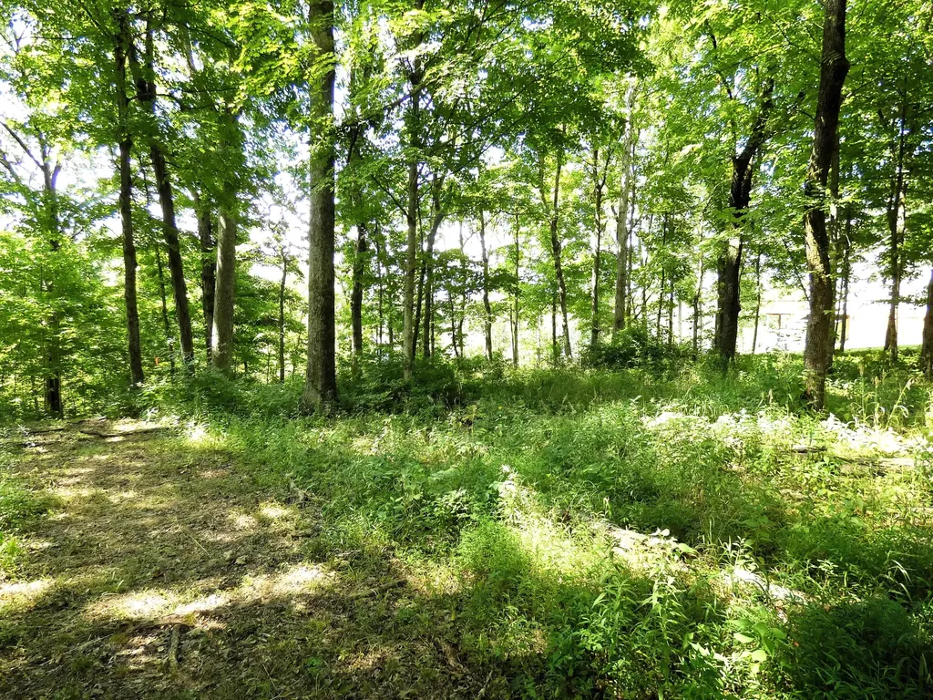 576 Overlook Drive Lancaster KY 40444