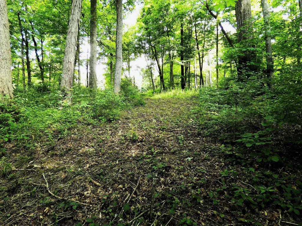 576 Overlook Drive Lancaster KY 40444