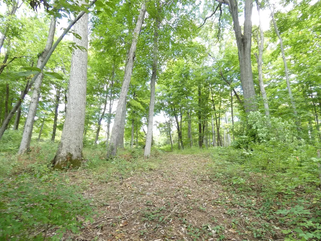 576 Overlook Drive Lancaster KY 40444