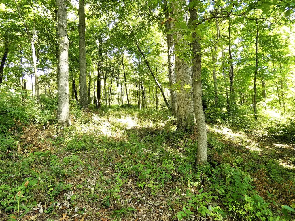576 Overlook Drive Lancaster KY 40444