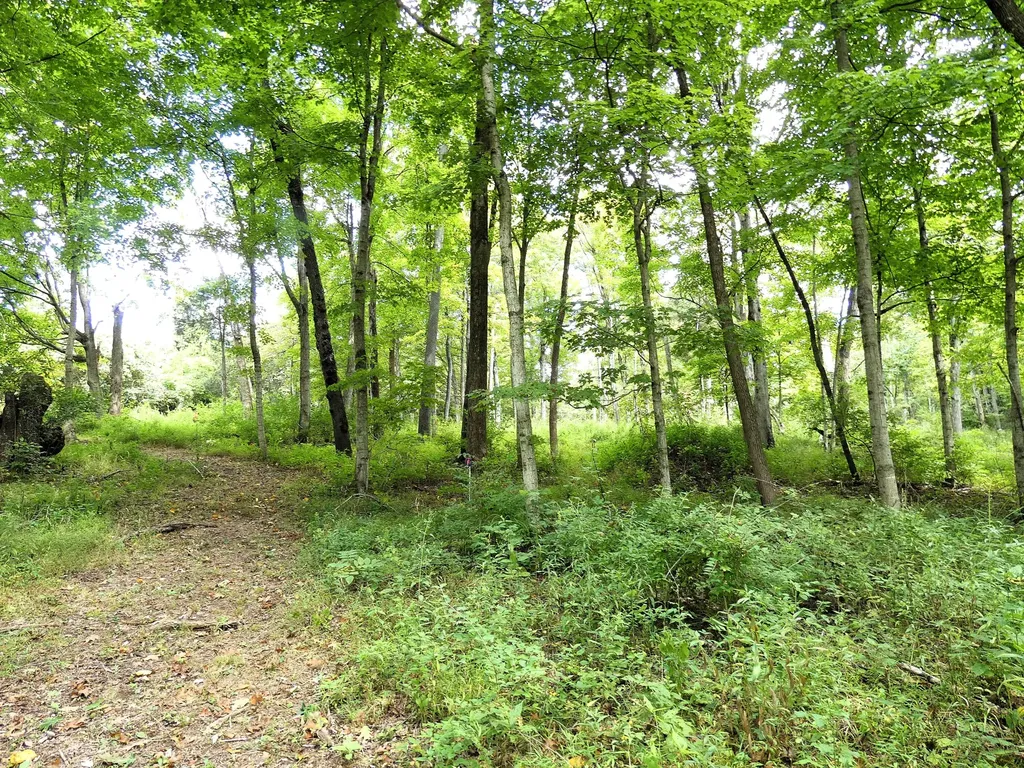 576 Overlook Drive Lancaster KY 40444