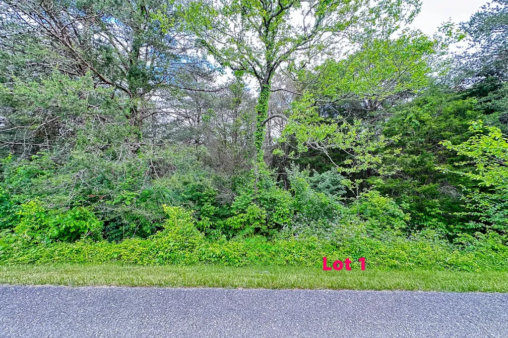 Lot 1 Cedar Pointe Drive Somerset KY 42501