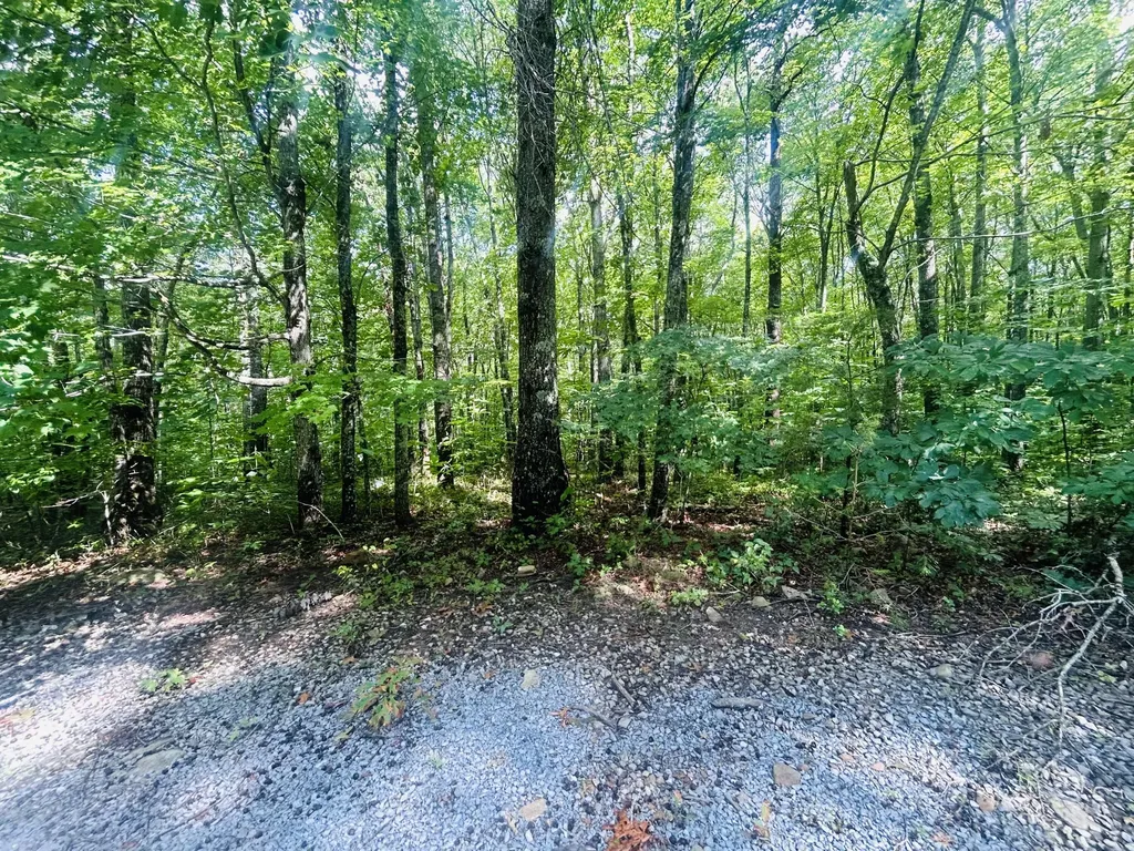 Lot 9 Brush Mountain Circle Middlesboro KY 40856