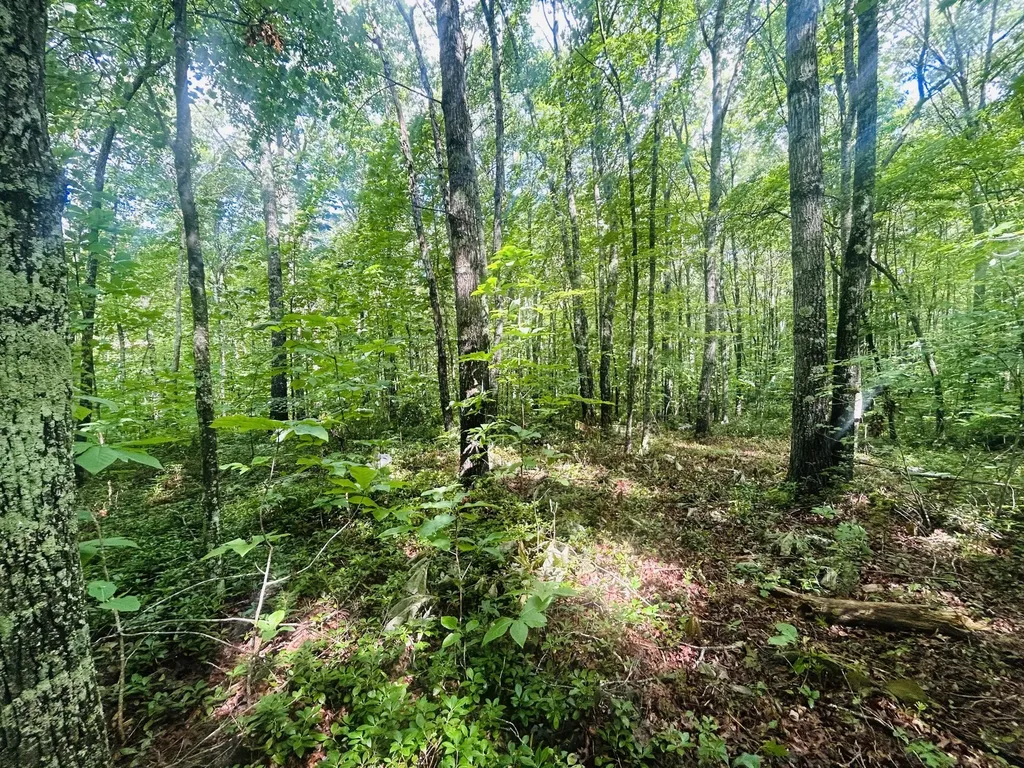 Lot 9 Brush Mountain Circle Middlesboro KY 40856