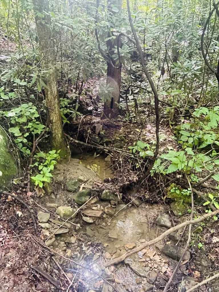 Lot 9 Brush Mountain Circle Middlesboro KY 40856