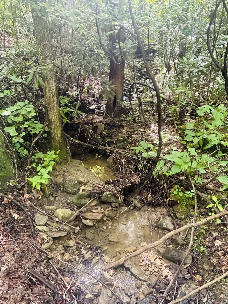 Lot 9 Brush Mountain Circle Middlesboro KY 40856