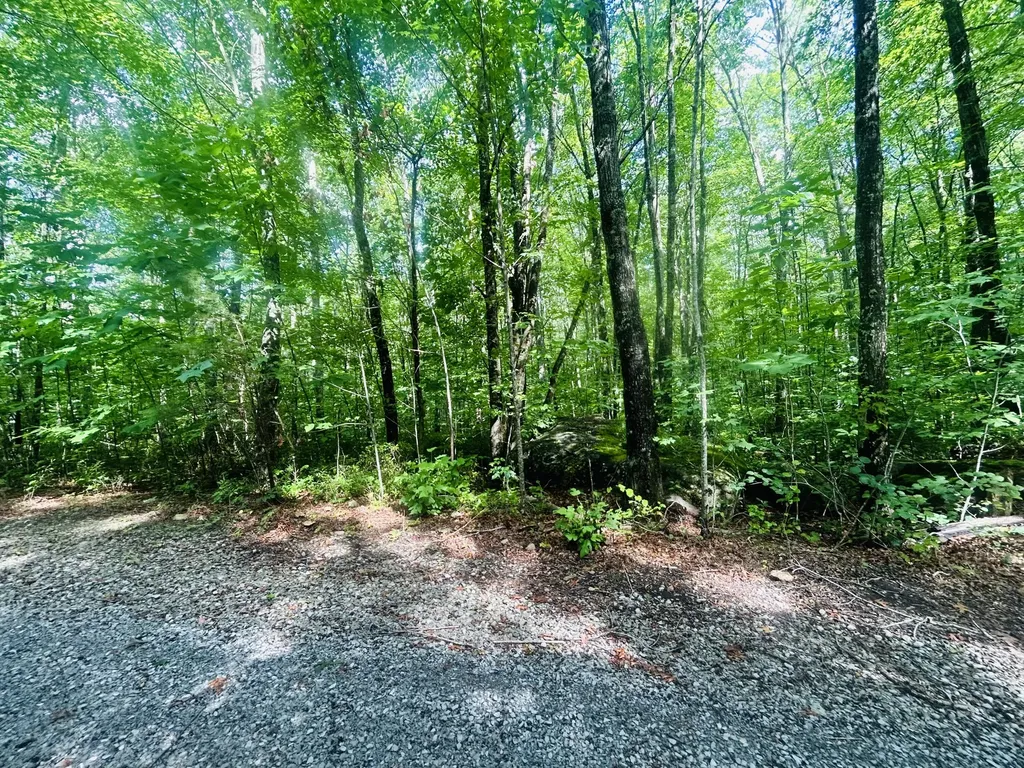 Lot 9 Brush Mountain Circle Middlesboro KY 40856