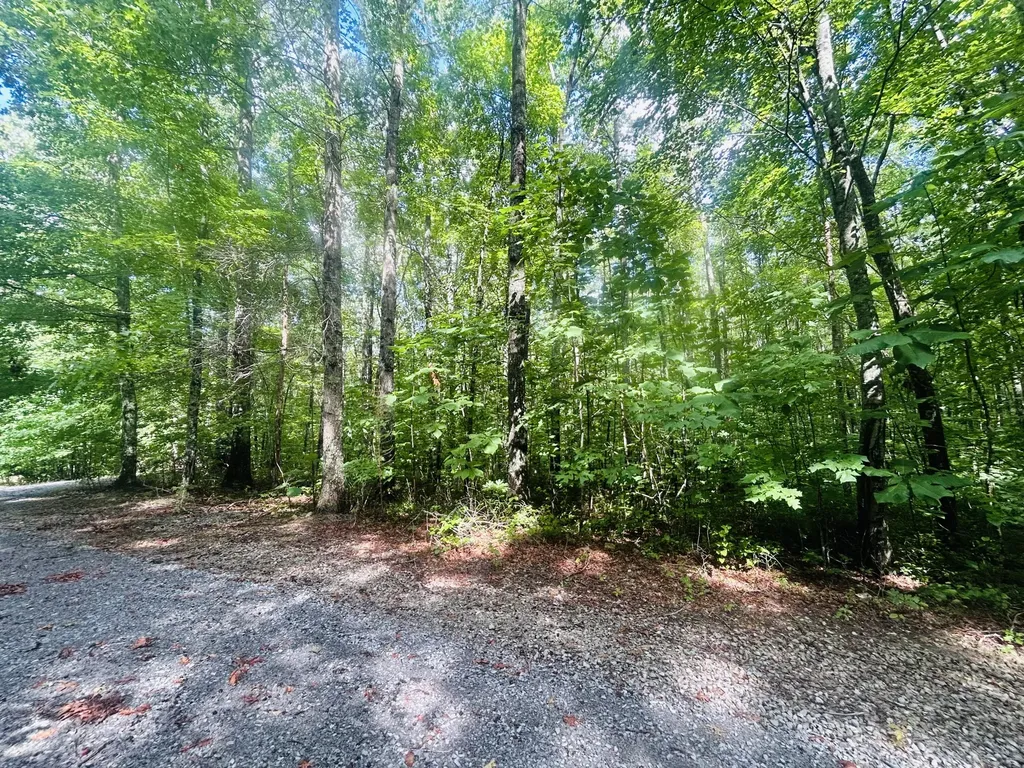 Lot 9 Brush Mountain Circle Middlesboro KY 40856