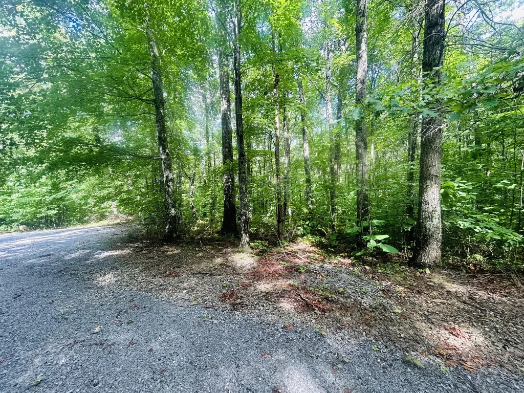 Lot 9 Brush Mountain Circle Middlesboro KY 40856