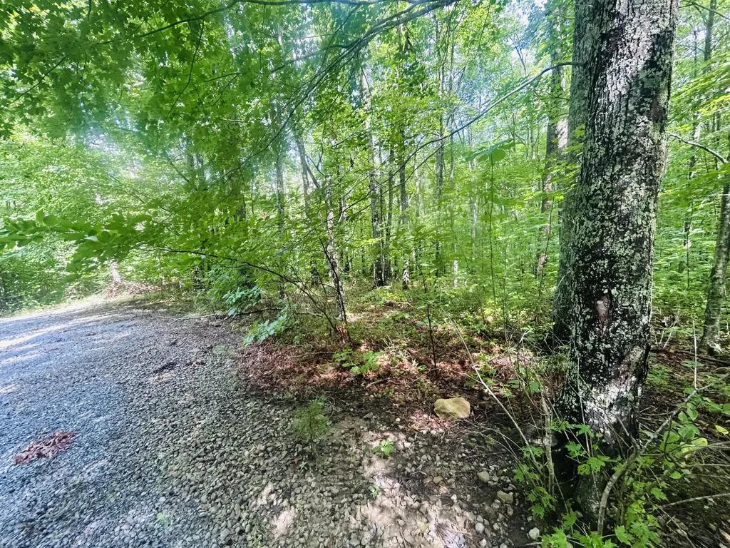 Lot 9 Brush Mountain Circle Middlesboro KY 40856
