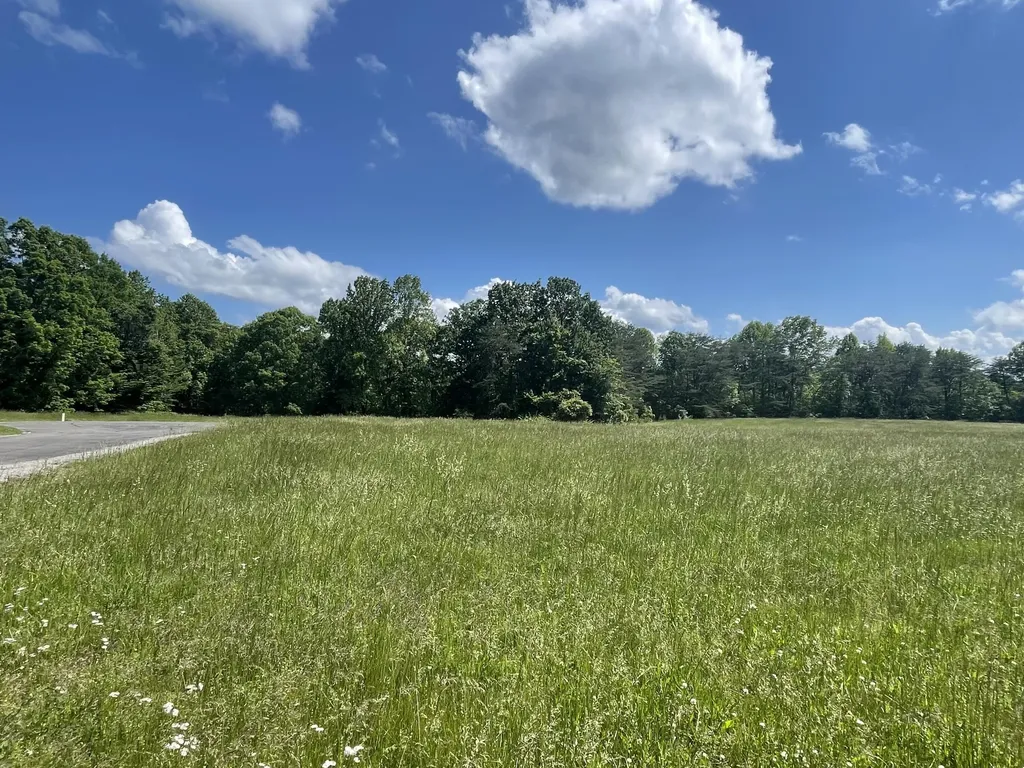 Lot 103 Stillwater Russell Springs KY 42642