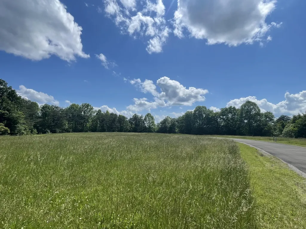 Lot 103 Stillwater Russell Springs KY 42642