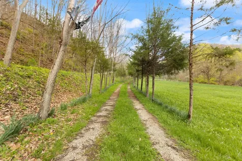 750 Gilbert's Creek Road Big Creek KY 40914