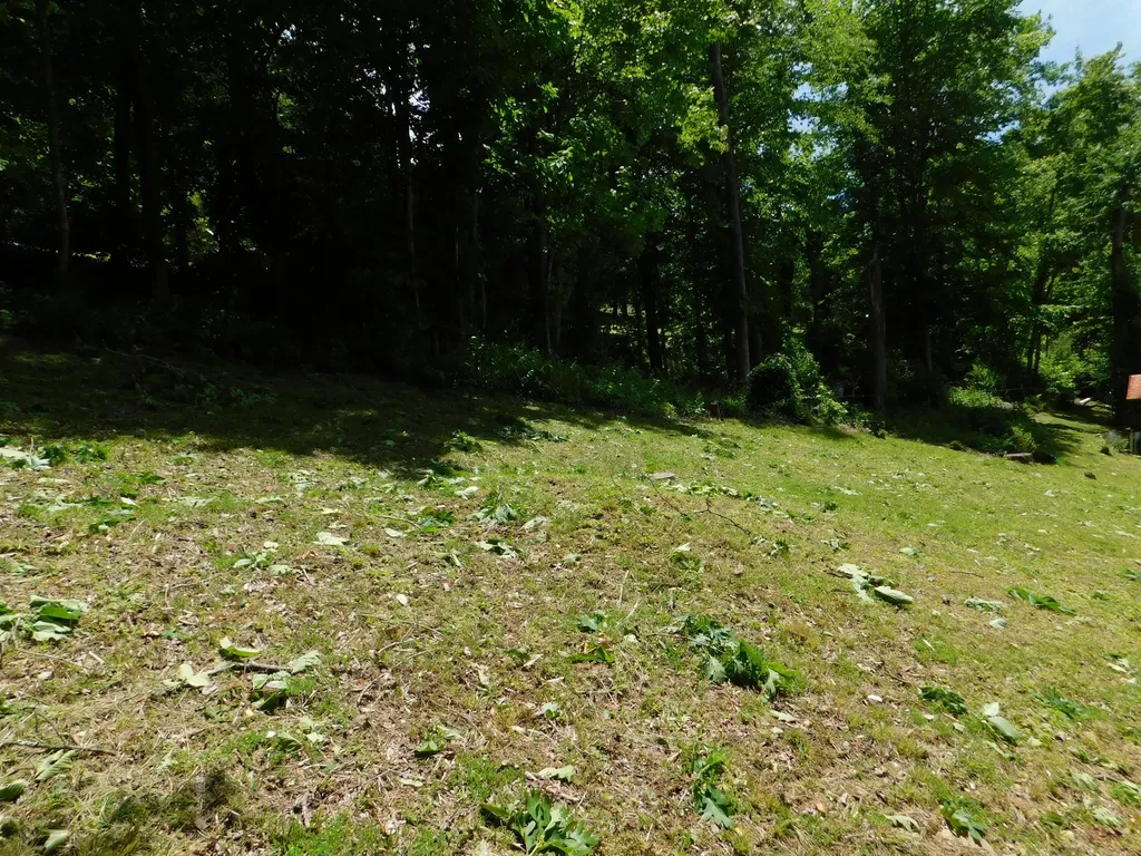 184 Meadow Drive Harlan KY 40831