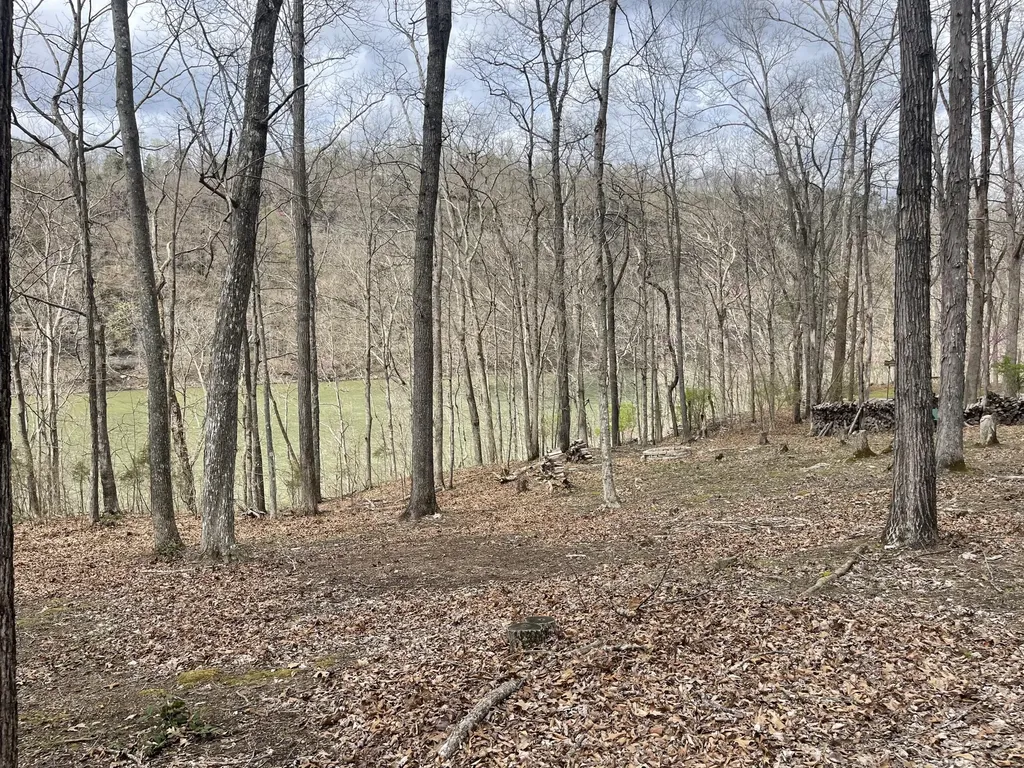 Lots 53-55 N. Lake Drive Burnside KY 42519