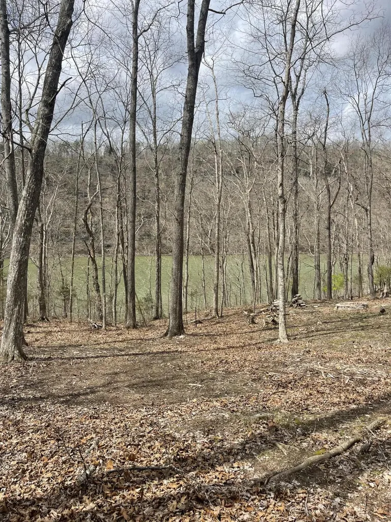 Lots 53-55 N. Lake Drive Burnside KY 42519