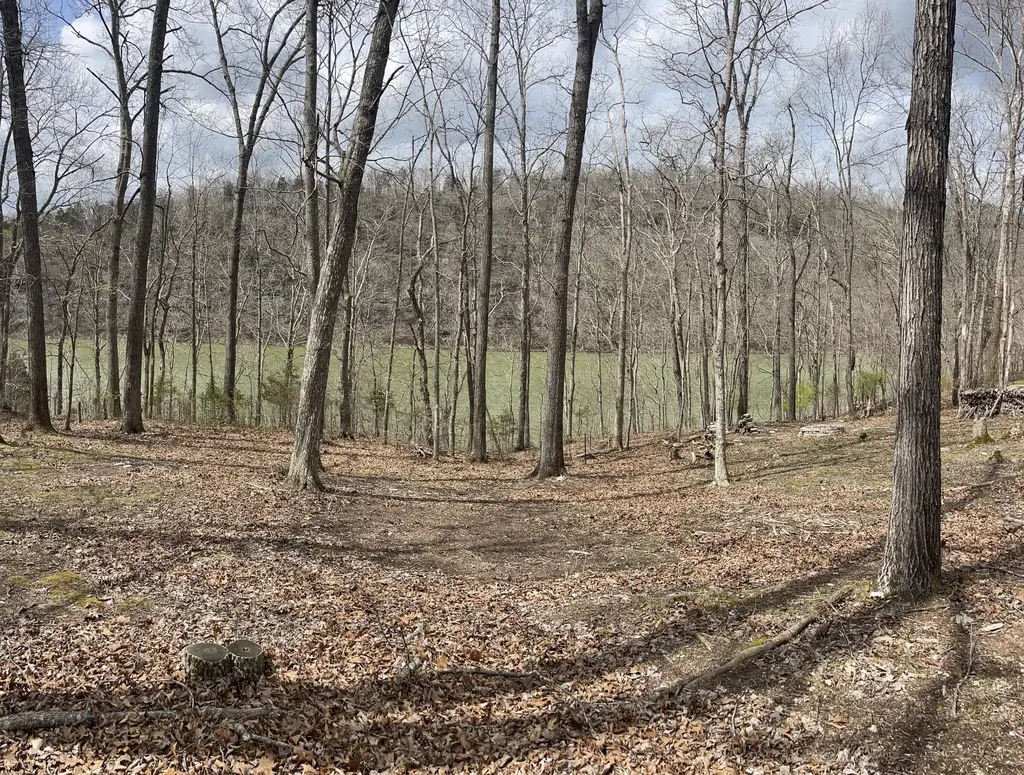 Lots 53-55 N. Lake Drive Burnside KY 42519
