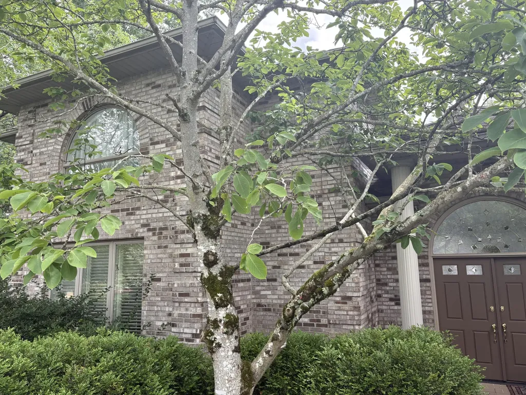 260 Beech Fork Boulevard Clay City KY 40312