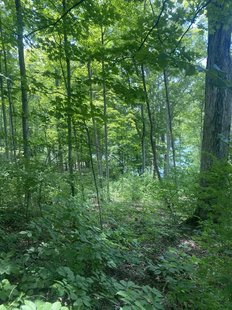 0 Columbine Drive Carlisle KY 40311