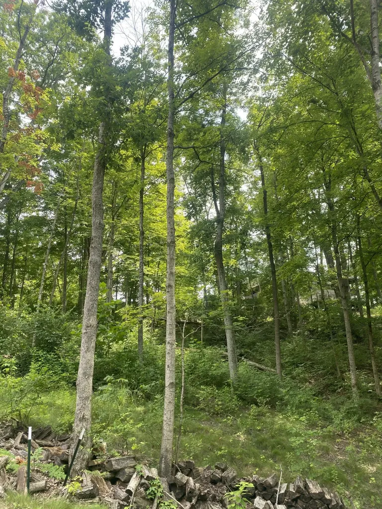 0 Columbine Drive Carlisle KY 40311