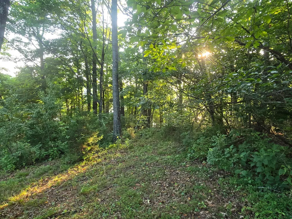 12/13 Meece Avenue Nancy KY 42544