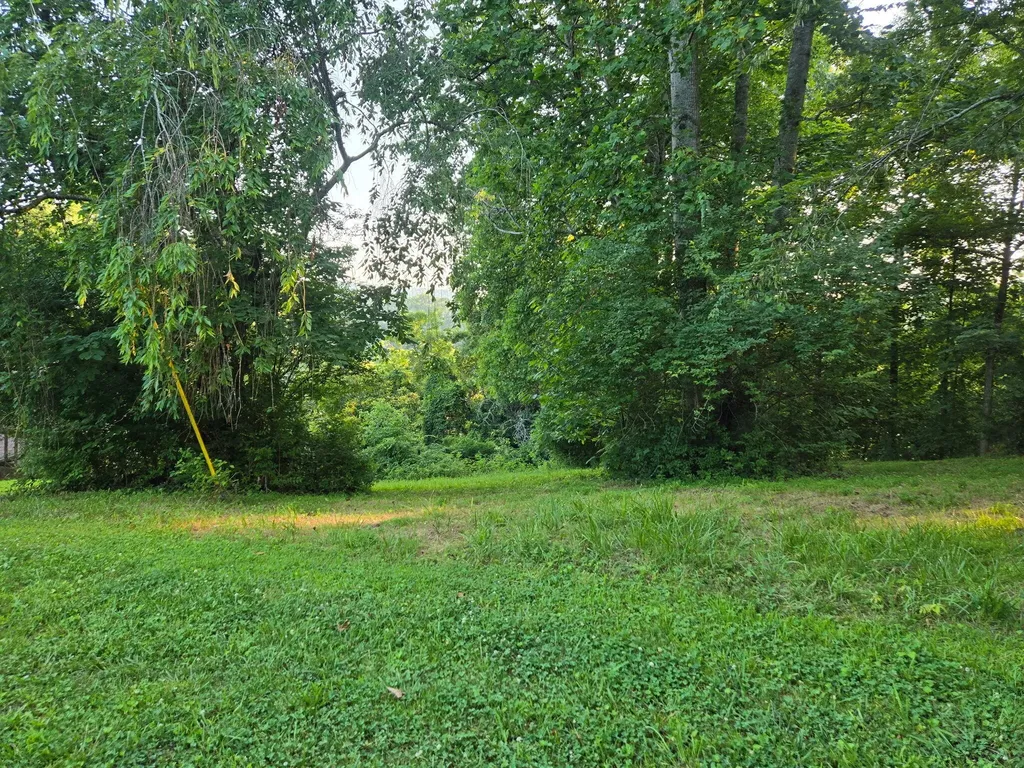 12/13 Meece Avenue Nancy KY 42544