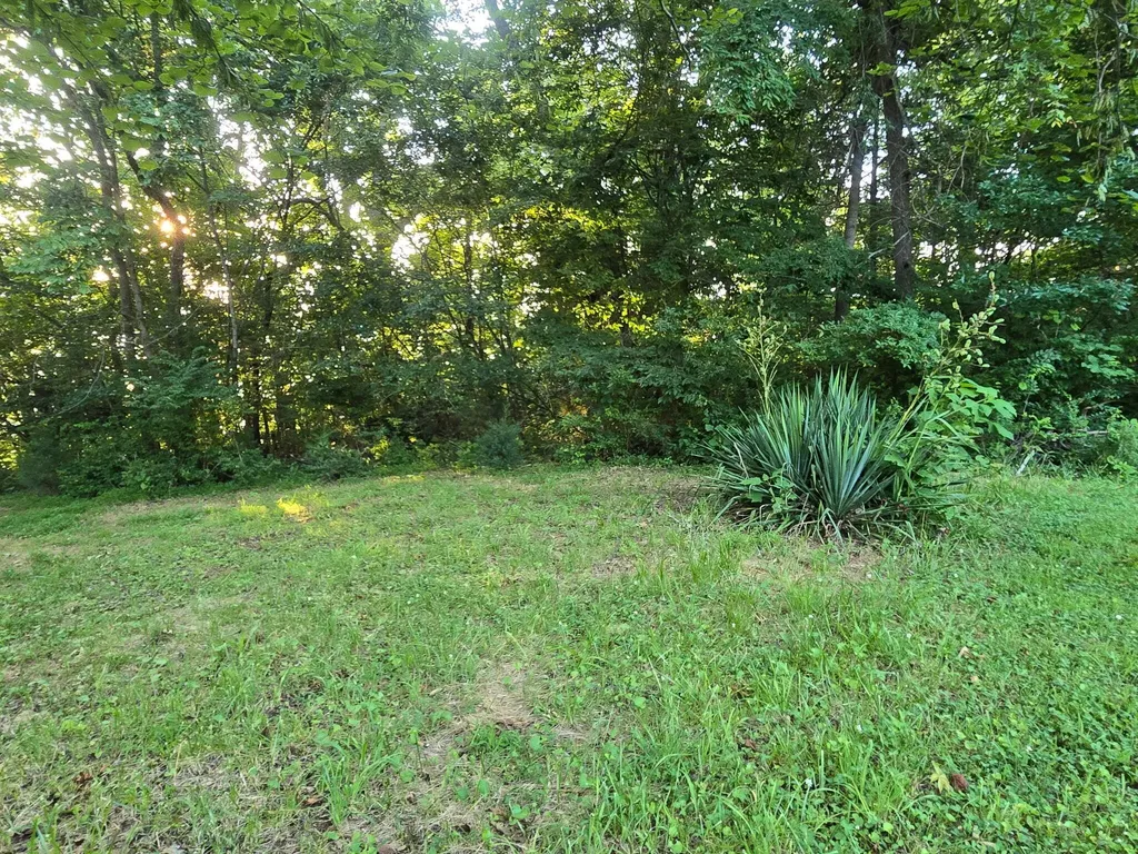 12/13 Meece Avenue Nancy KY 42544
