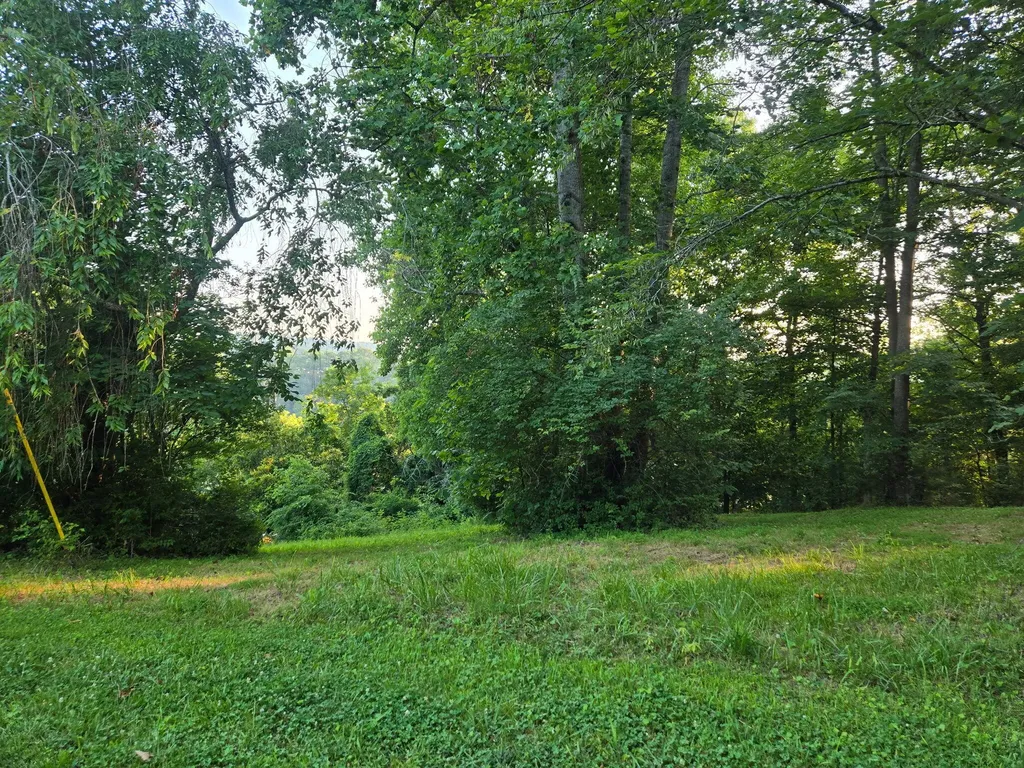 12/13 Meece Avenue Nancy KY 42544