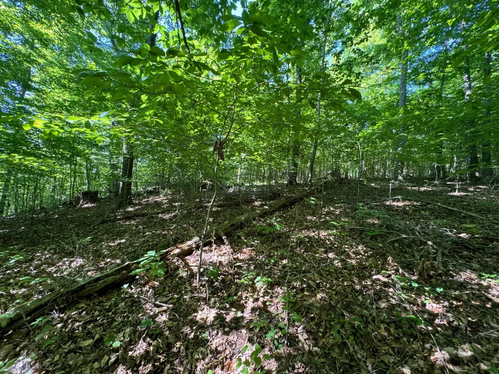 4 Village Court Russell Springs KY 42642