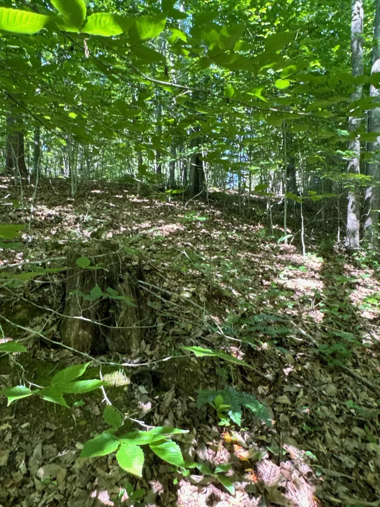 4 Village Court Russell Springs KY 42642