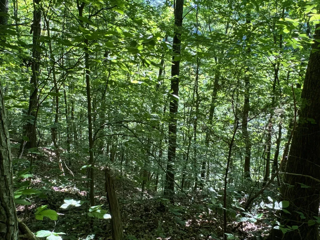 4 Village Court Russell Springs KY 42642