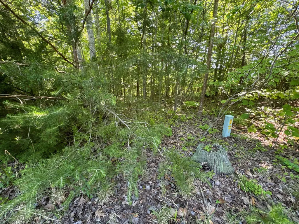 4 Village Court Russell Springs KY 42642