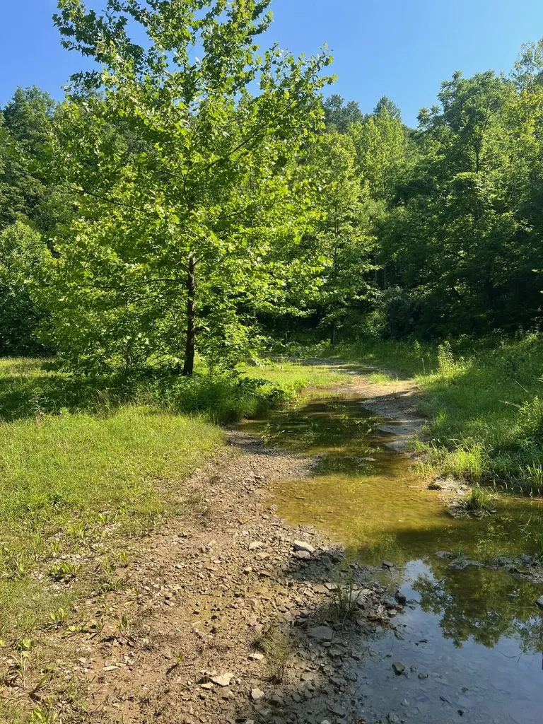 00 SE Licking River Road Salyersville KY 41465
