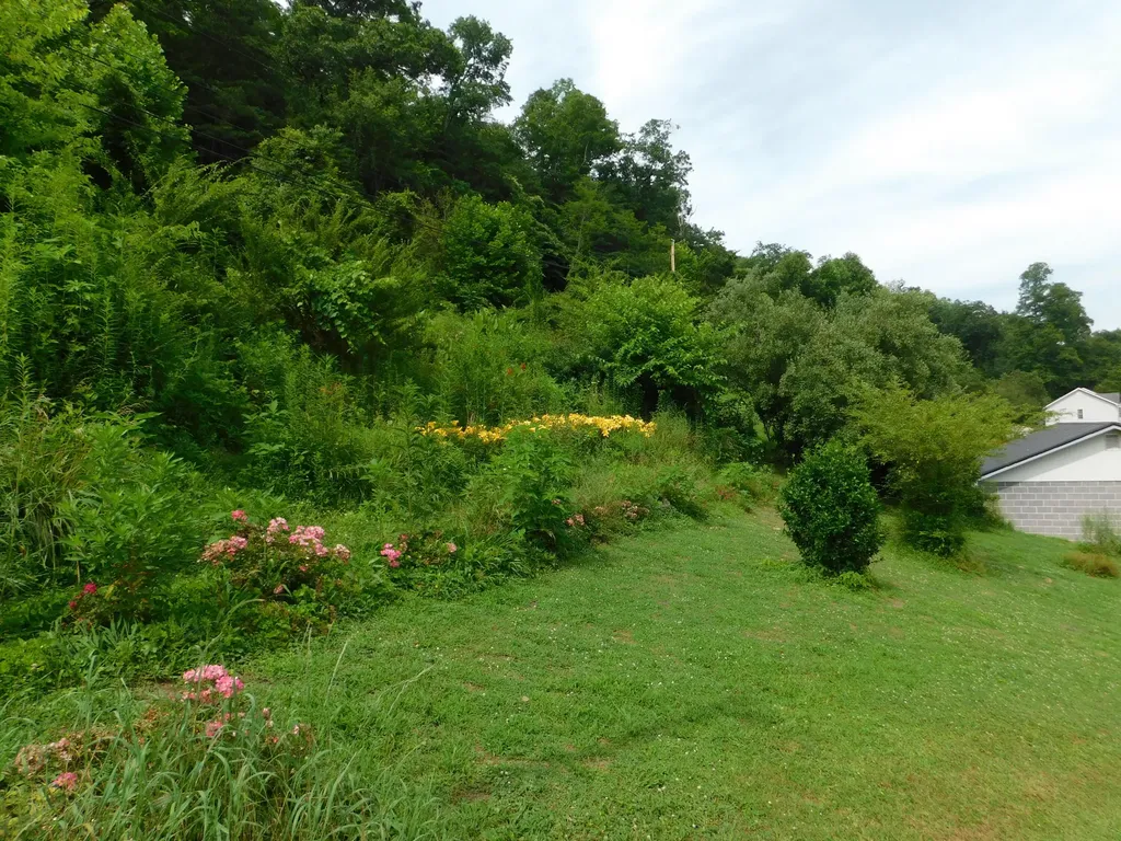 15718 Highway 522 Cumberland KY 40823