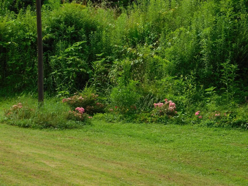15718 Highway 522 Cumberland KY 40823