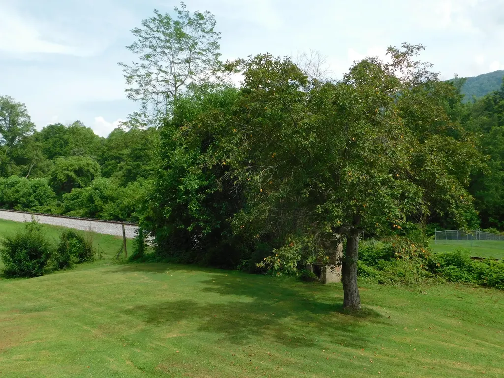 15718 Highway 522 Cumberland KY 40823