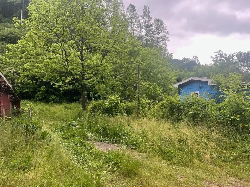 918 Spurlock Fork Dana KY