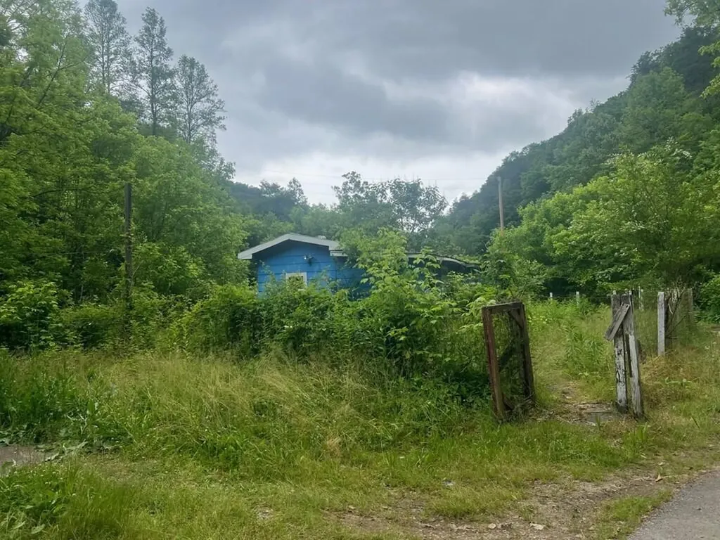 918 Spurlock Fork Dana KY