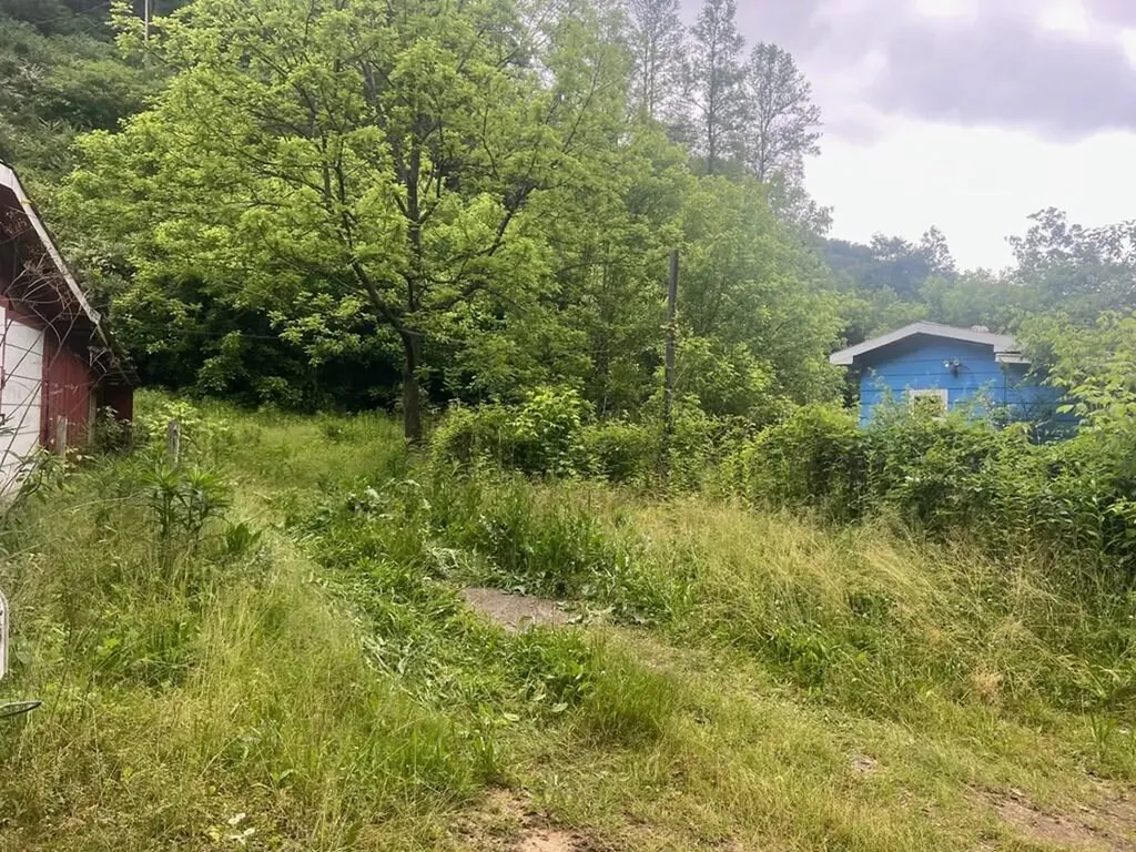 918 Spurlock Fork Dana KY