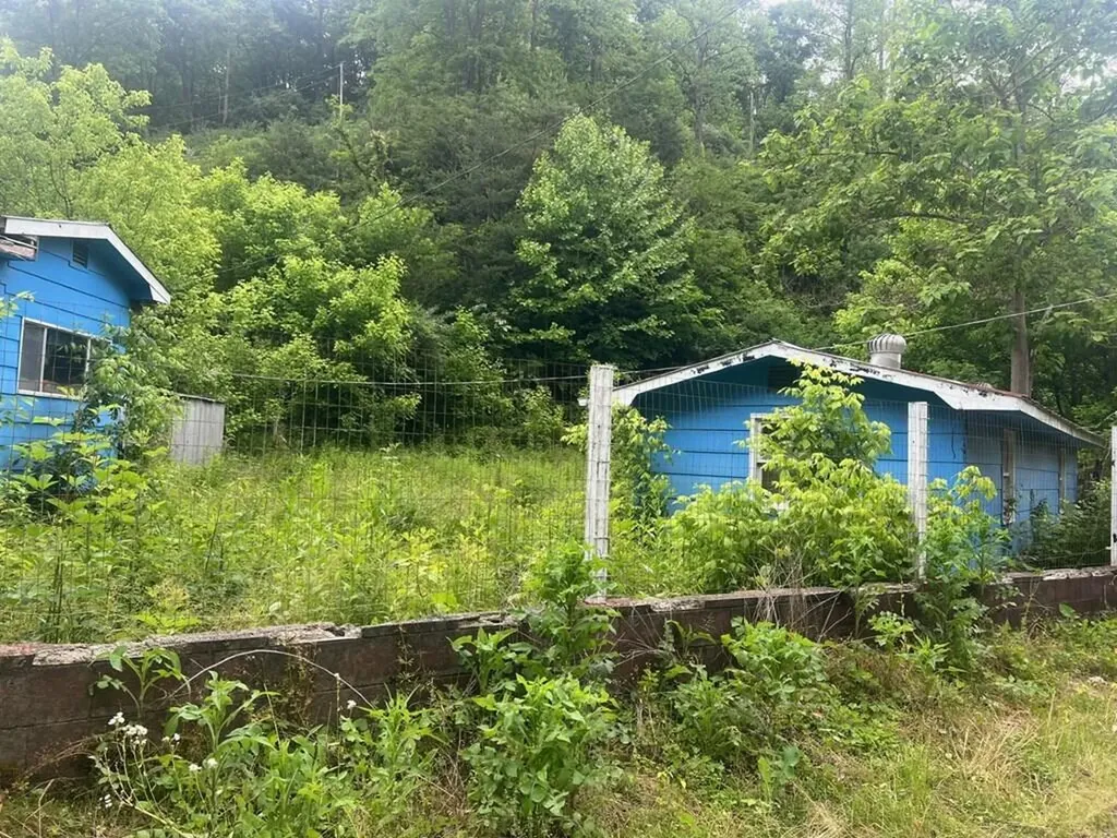 918 Spurlock Fork Dana KY