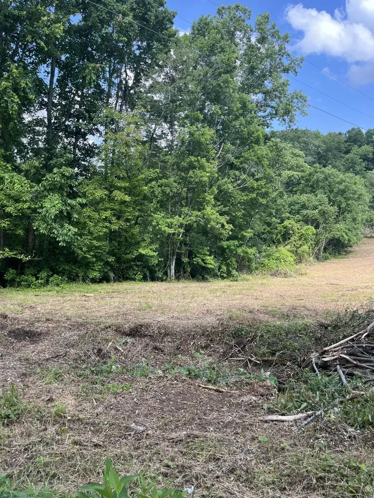 1496 Conrad Cemetary Road Somerset KY 42503